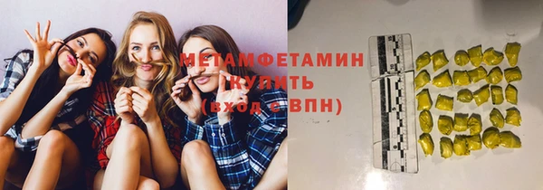 прущие грибы Няндома
