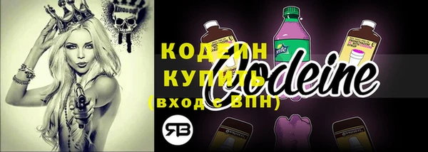прущие грибы Няндома