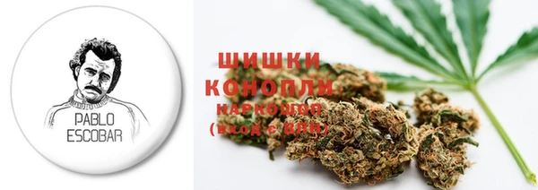 СК Новозыбков