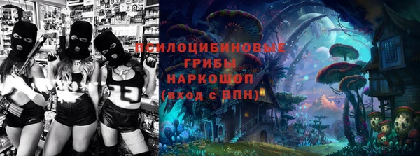 прущие грибы Няндома