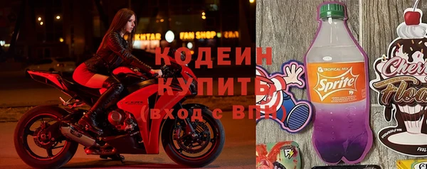 СК Новозыбков