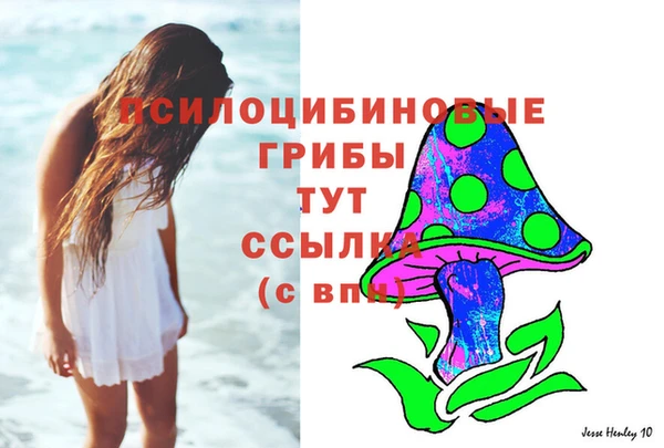 герыч Новодвинск