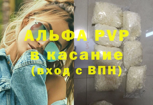 СК Новозыбков